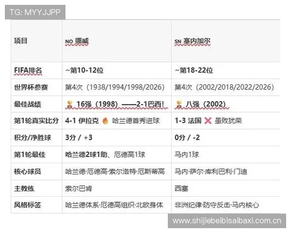 世界杯挪威对塞内加尔比赛观赛注意事项：携带物品、入场时间及安全提示